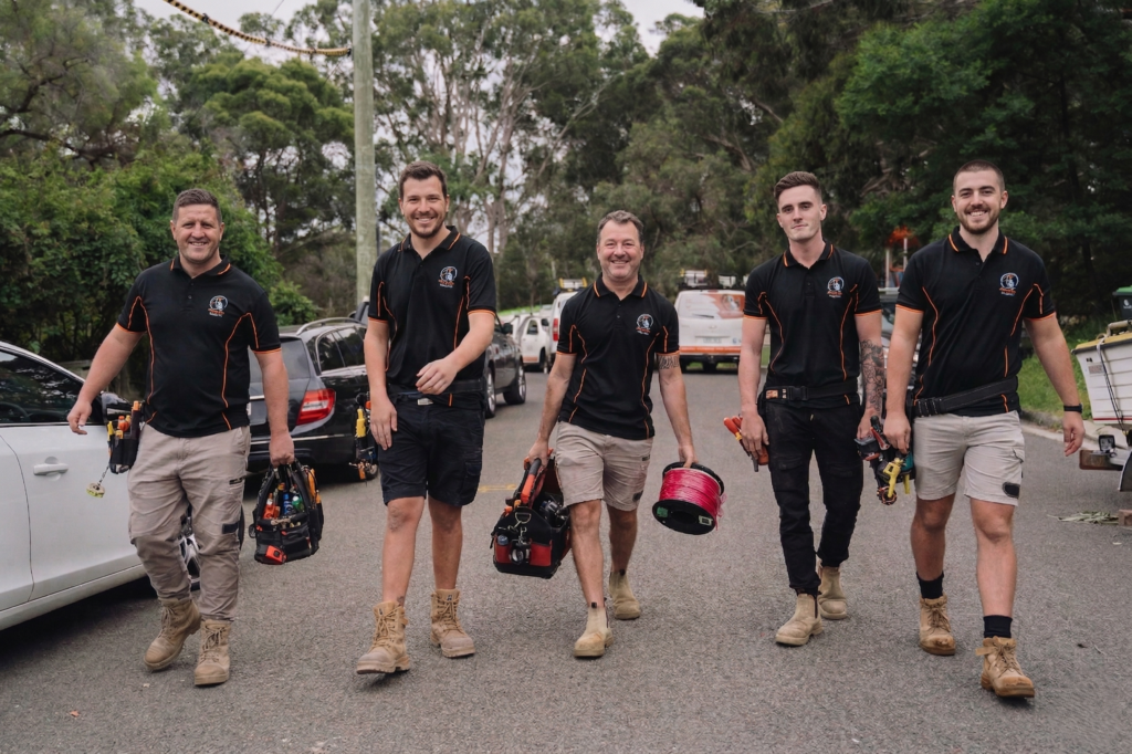 Professional electrical services in Mona Vale
